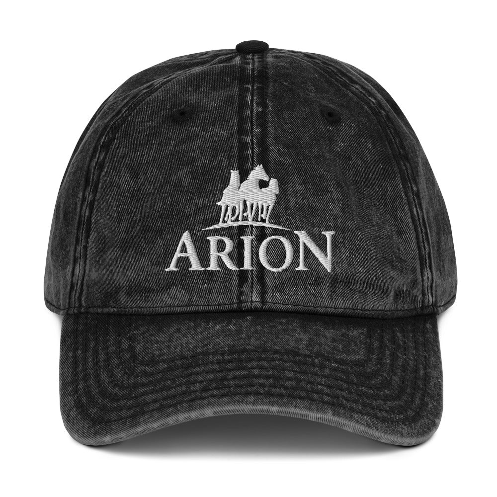 Vintage Cotton Twill Cap – Arion Store